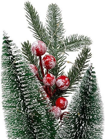 Dkp int sapin pn 10l h22 p