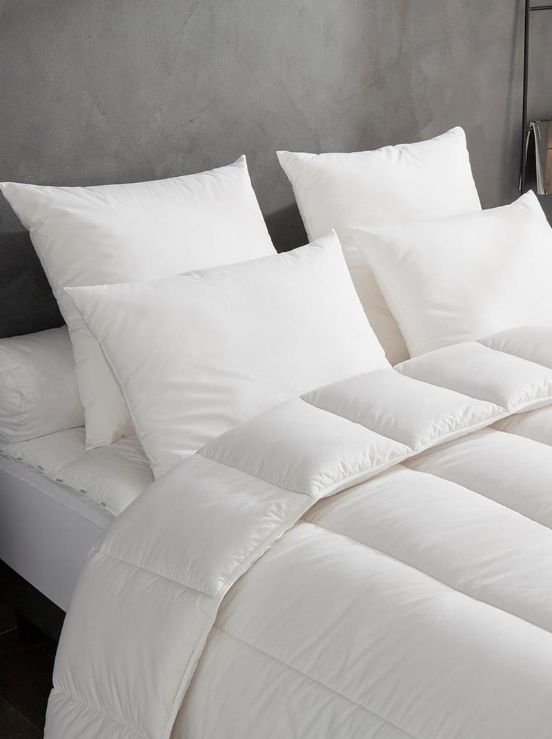 DODO - Lot de 2 Oreillers Confort Protect - Anti-Acariens - Moelleux Blanc - Kiabi