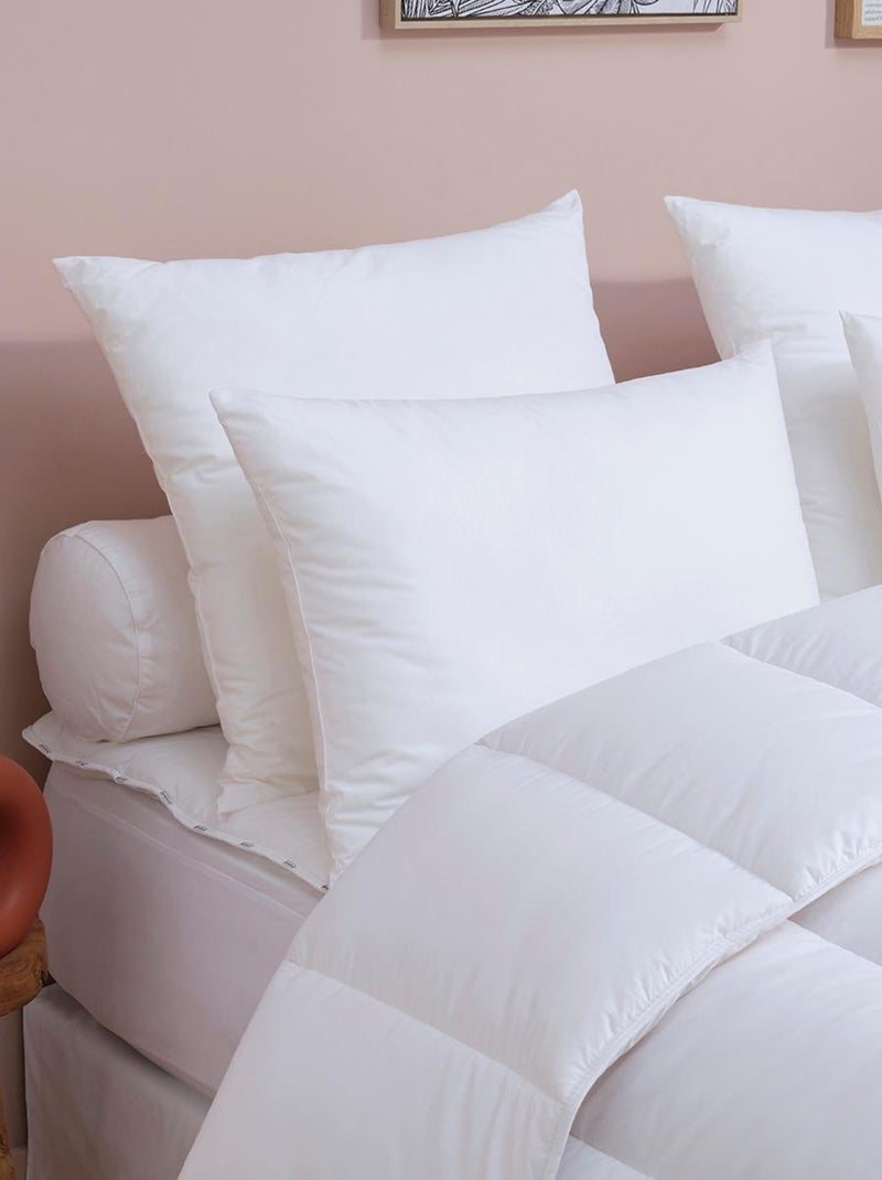 DODO - Oreiller Touch Protect - Anti-Acariens - Moelleux Blanc - Kiabi