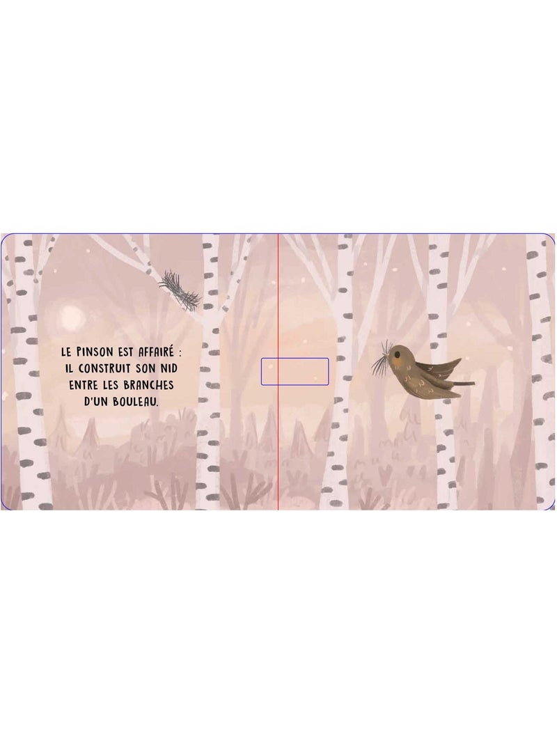 Douces histoires sonores les oiseaux N/A - Kiabi