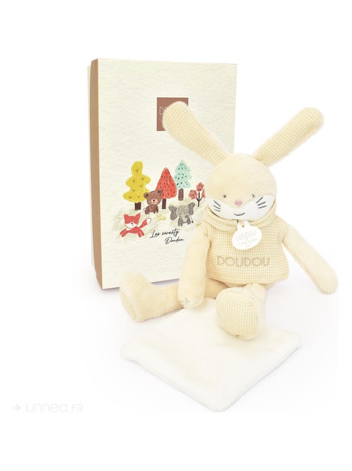 Doudou 25 cm polyester collection SWEETY DOUDOU Lapin - Kiabi