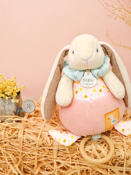 Doudou boîte à musique lapin Ciboulette polyester collection DANS MON JARDIN - Kiabi
