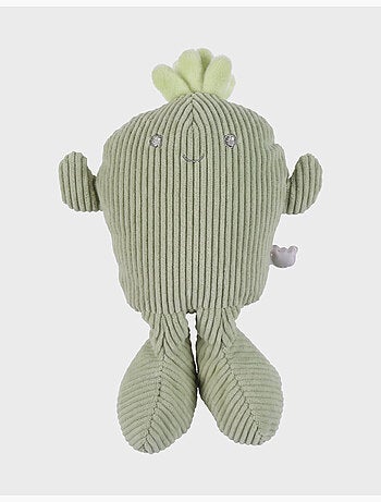 Doudou cactus pico noukie's