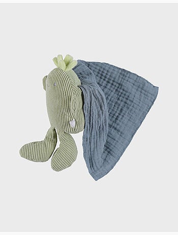 Doudou cactus pico noukie's