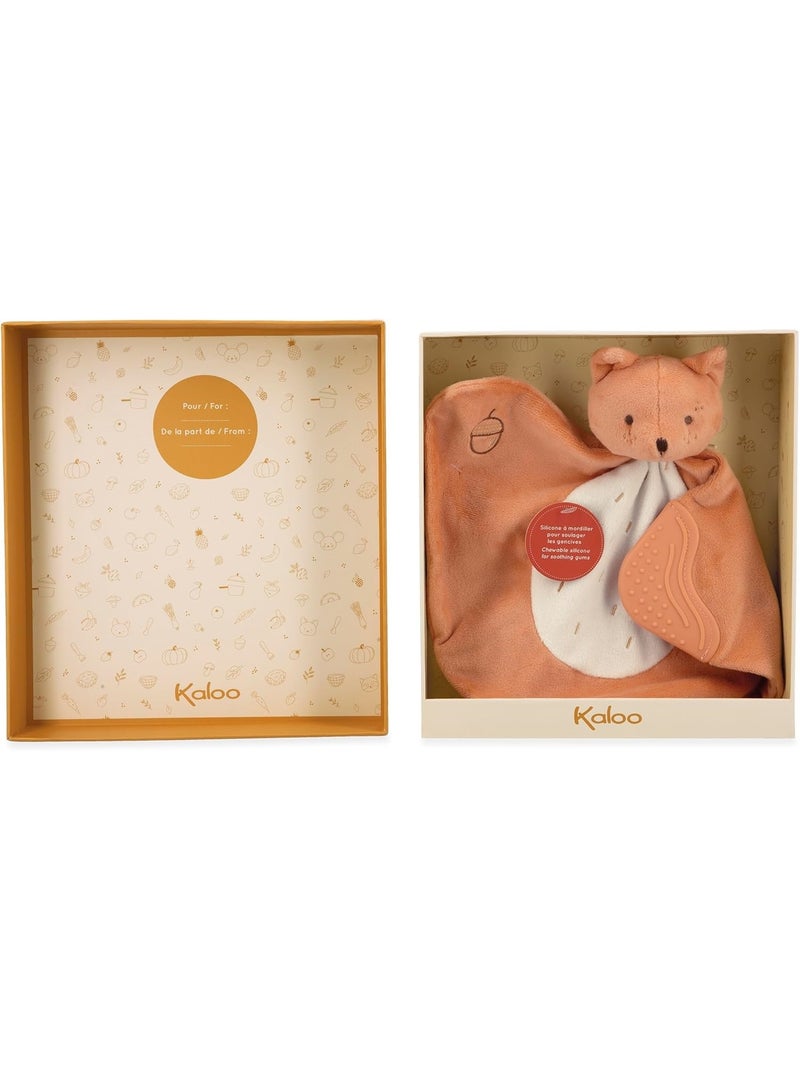 Doudou de dentition Ecureuil Orange - Kiabi