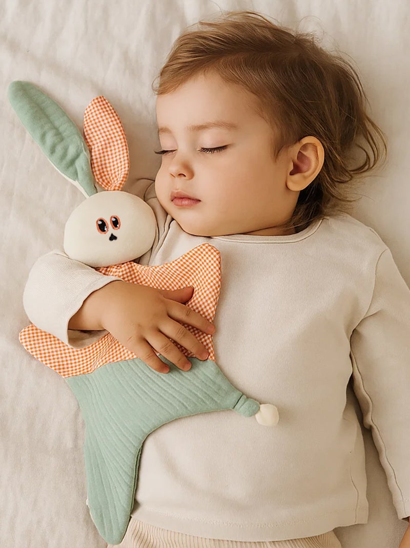 Doudou en Coton Bio Gus Blanc - Kiabi