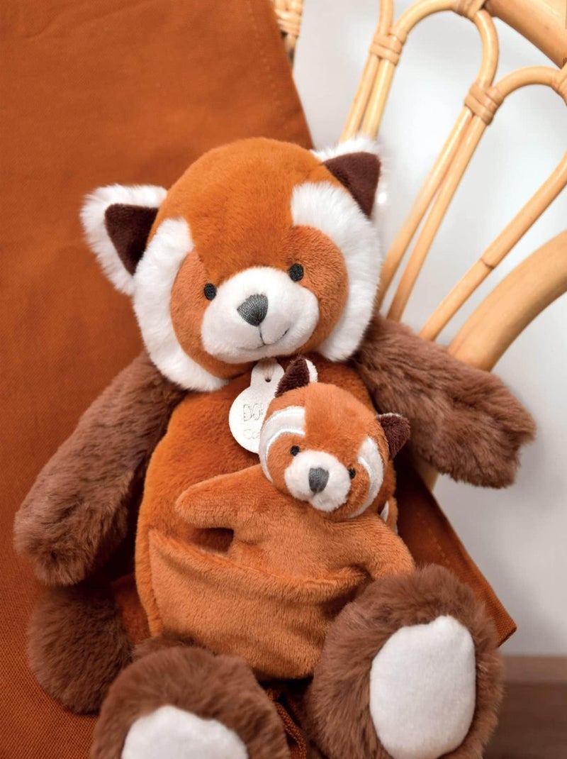 Doudou et Compagnie - Coffret peluche Marron - Kiabi