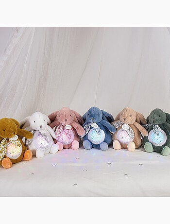 Doudou et Compagnie - Veilleuse musicale projections d'étoiles
