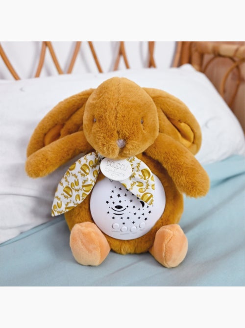 Doudou et Compagnie - Veilleuse musicale projections d'étoiles - Kiabi