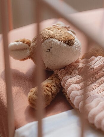 Doudou renard Forest Friends