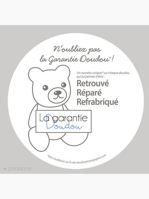 Doudou histoire polyester collection LES PETITS FUTÉS - Kiabi