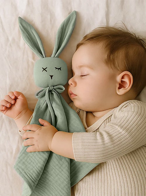 Doudou Lange en Coton Bio Vert - Kiabi