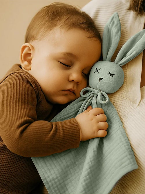 Doudou Lange en Coton Bio Vert - Kiabi