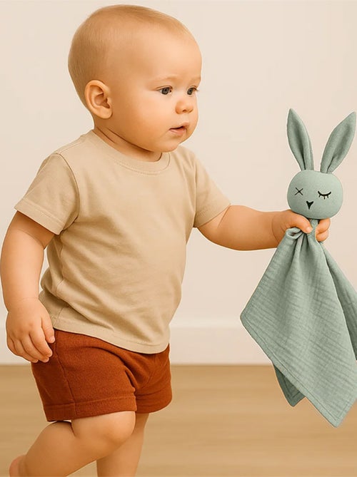 Doudou Lange en Coton Bio Vert - Kiabi