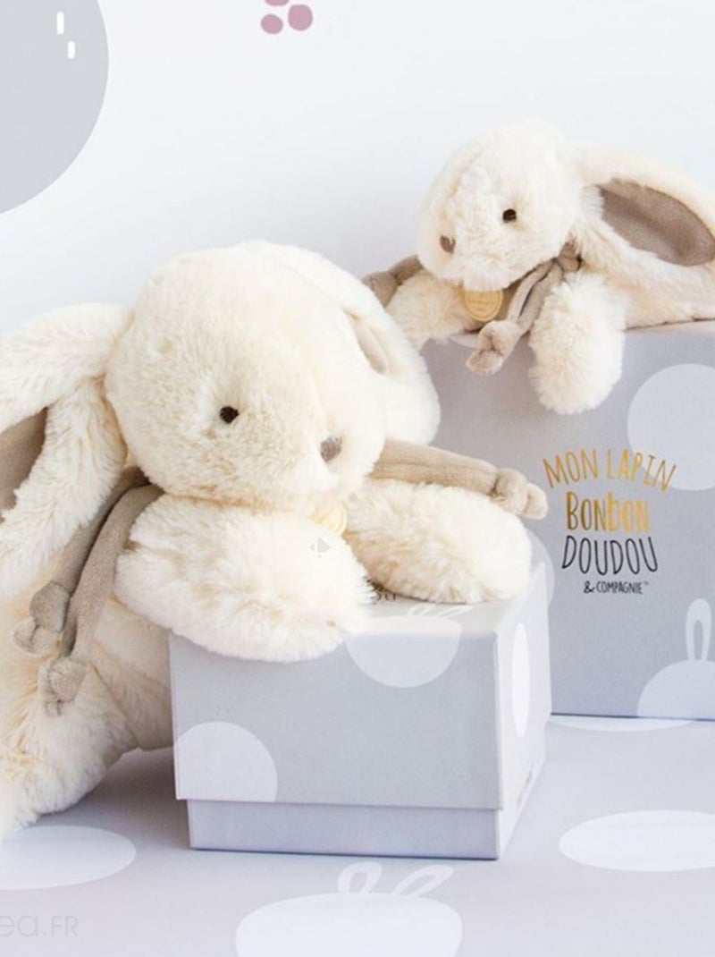 Doudou lapin collection LAPIN BONBON Gris taupe - Kiabi
