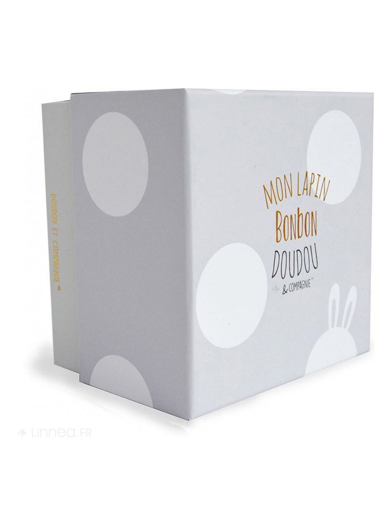 Doudou lapin collection LAPIN BONBON Gris taupe - Kiabi