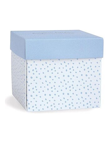 Doudou Lapin Mouchoir bleu boite Fleur