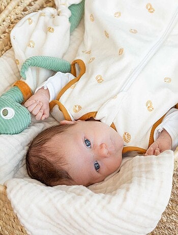 Doudou Mouchoir Dinosaure