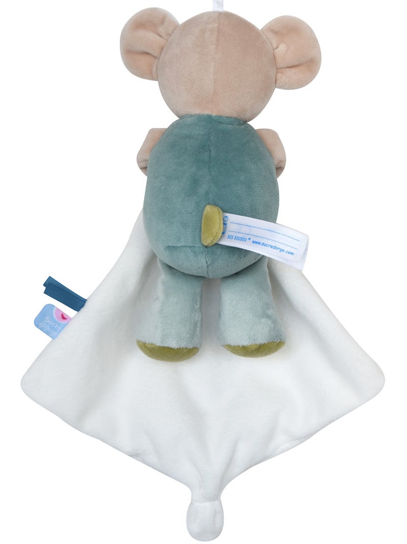 DOUDOU MOUCHOIR XL KOALA RACIM VELOURS DOUX Vert - Kiabi