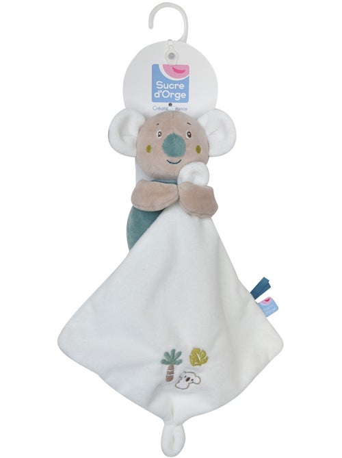 DOUDOU MOUCHOIR XL KOALA RACIM VELOURS DOUX - Kiabi