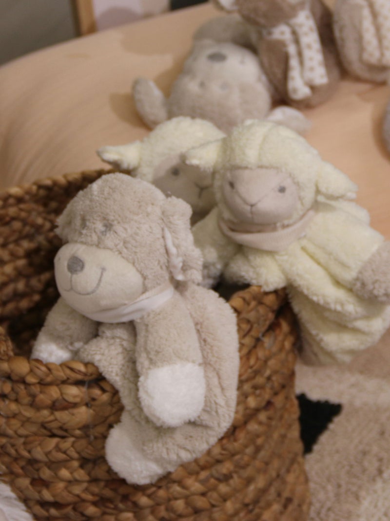 Doudou mouton Ecru - Kiabi