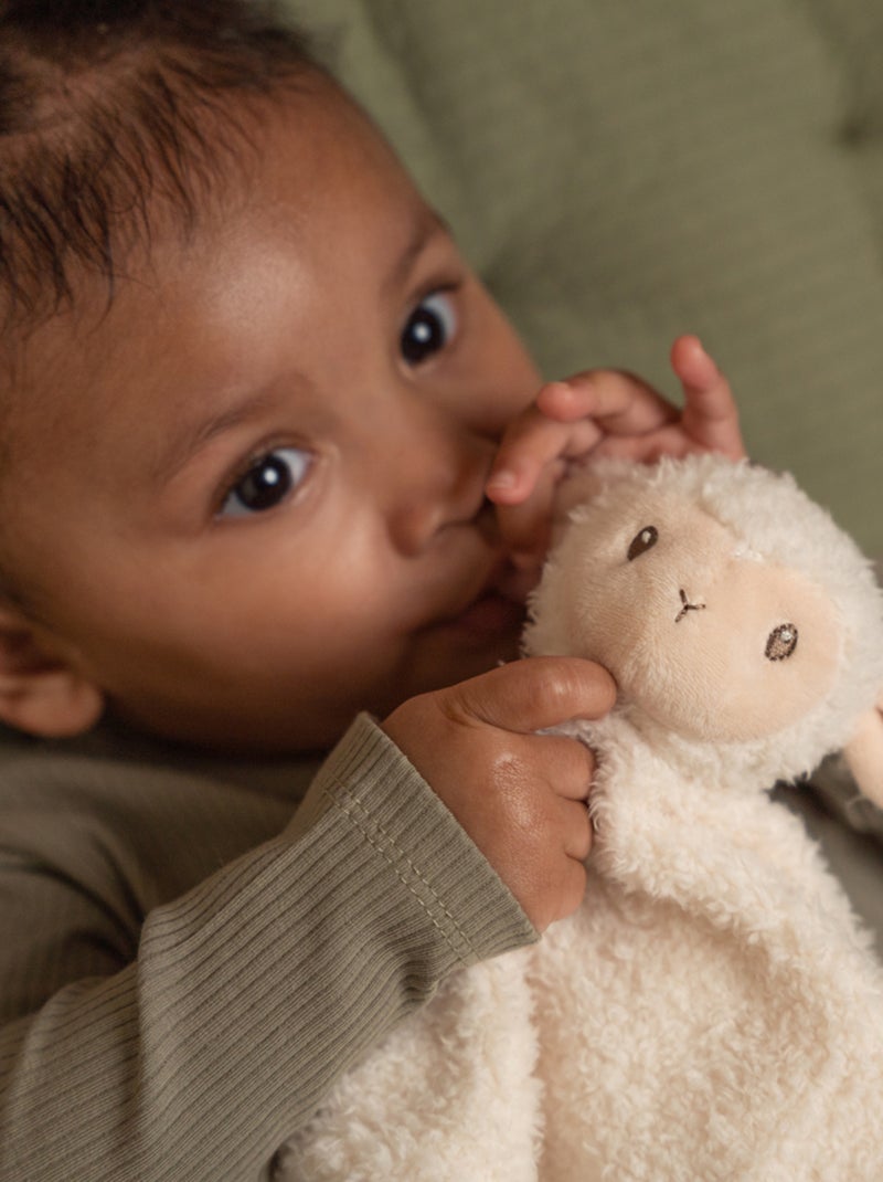 Doudou mouton Little Farm Beige - Kiabi