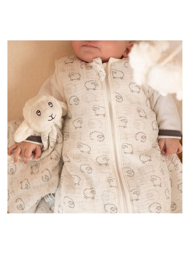 Doudou naissance Ecru - Kiabi