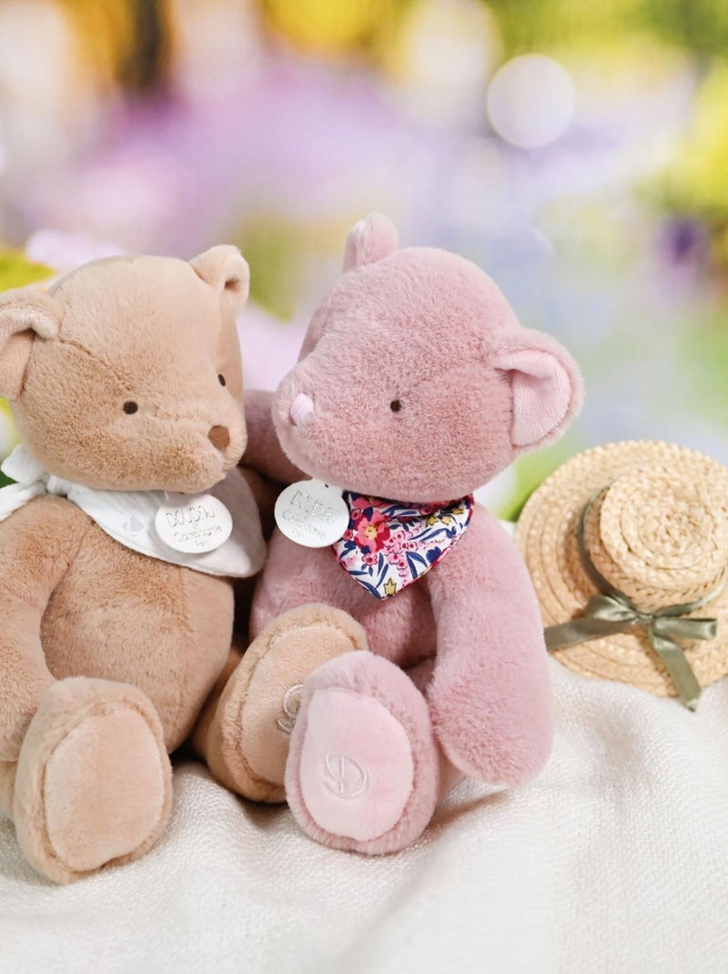 Doudou ours collection L'OURS DOUDOU Rose - Kiabi