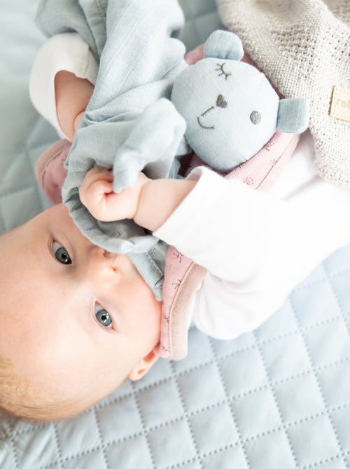 Doudou ours en coton bio certifié Oeko-Tex 'Roba lil planet' - Kiabi