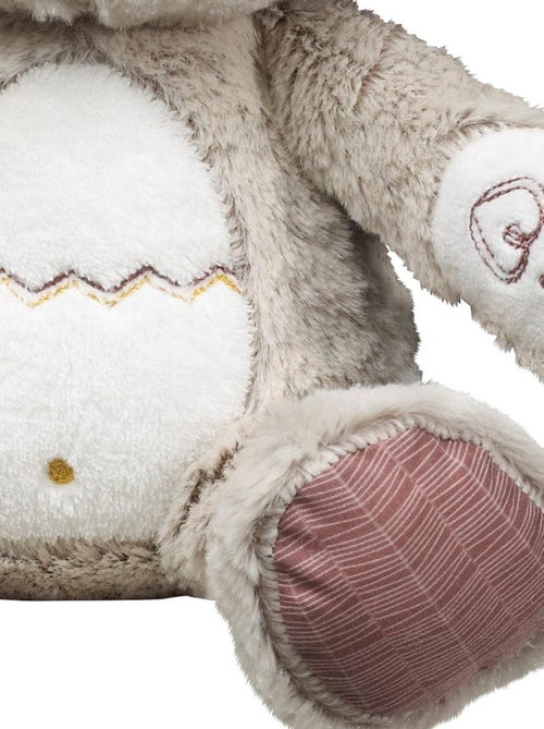 Doudou Ours en velours - SAUTHON - Kiabi