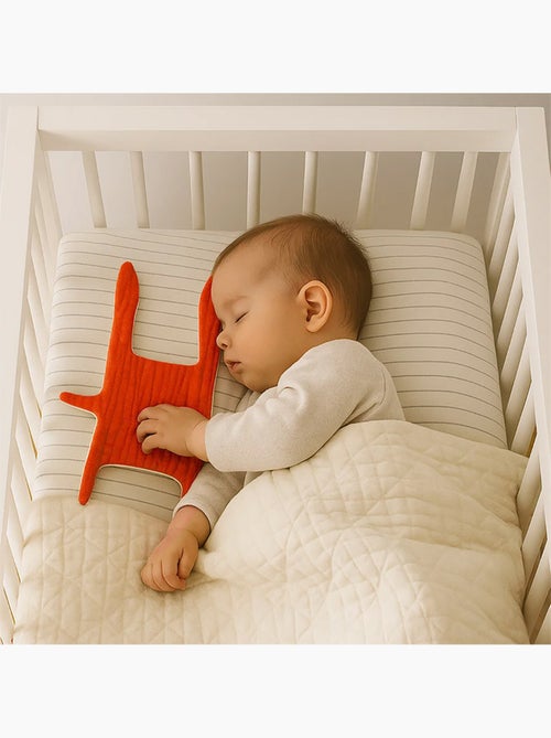 Doudou Plat en Coton Bio Fraise - Kiabi