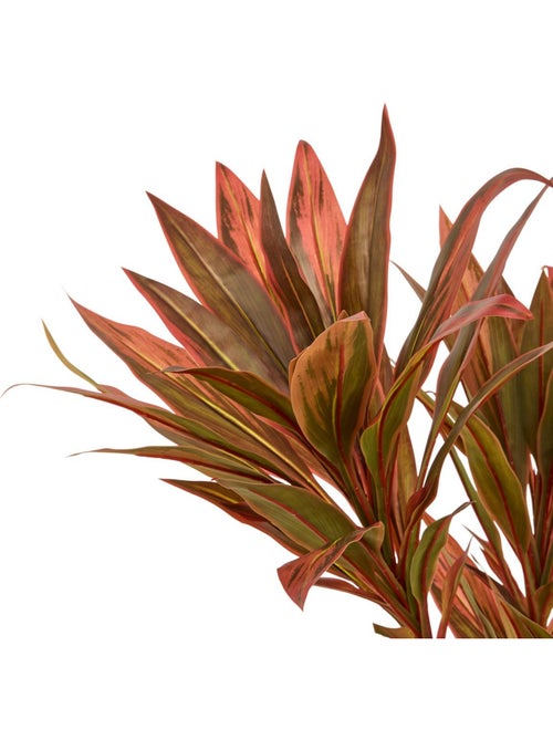 Dracena artificiel EDI - Kiabi