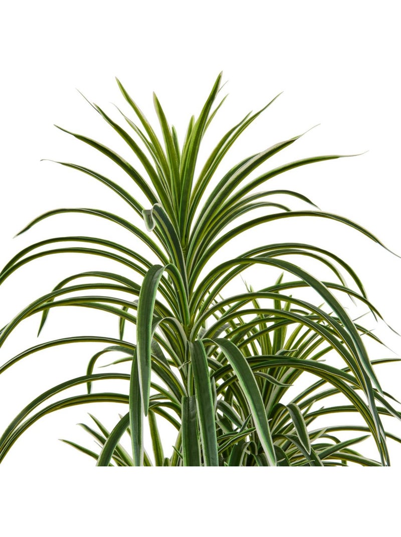 Dracena artificiel EDI Vert - Kiabi