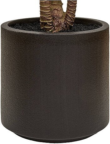 Dracena artificiel en pot grande hauteur edi