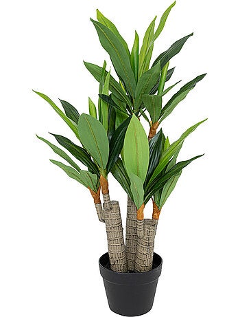 Dracena artificielle ONIA