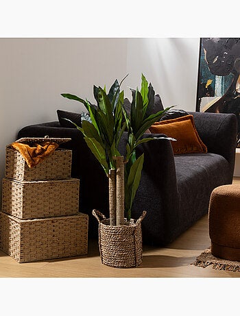 Dracena artificielle ONIA