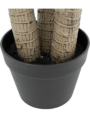 Dracena artificielle ONIA