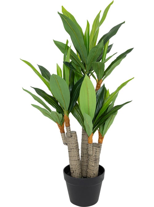 Dracena artificielle ONIA - Kiabi Dracena artificielle ONIA - Kiabi