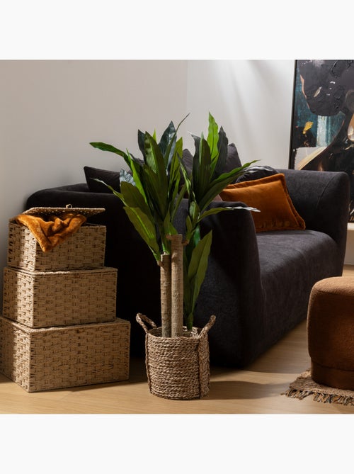 Dracena artificielle ONIA - Kiabi Dracena artificielle ONIA - Kiabi