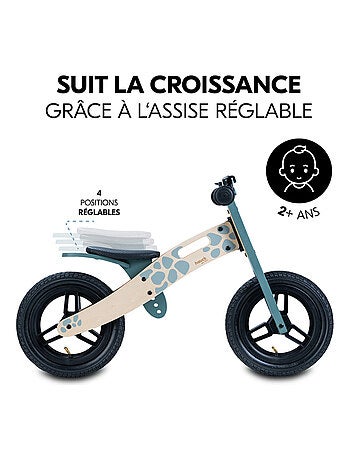 Draisienne Balance N Ride Turtle
