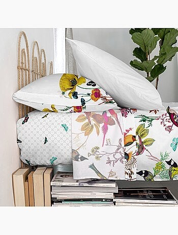 Drap Birds of paradise "Happyfriday