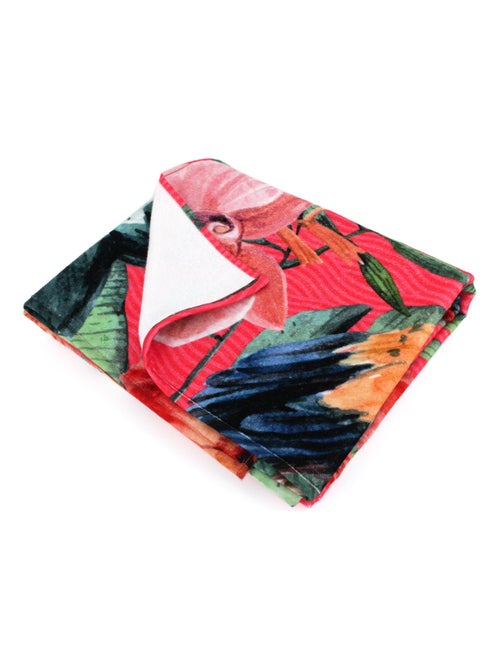Drap de plage TROPICAL - Kiabi