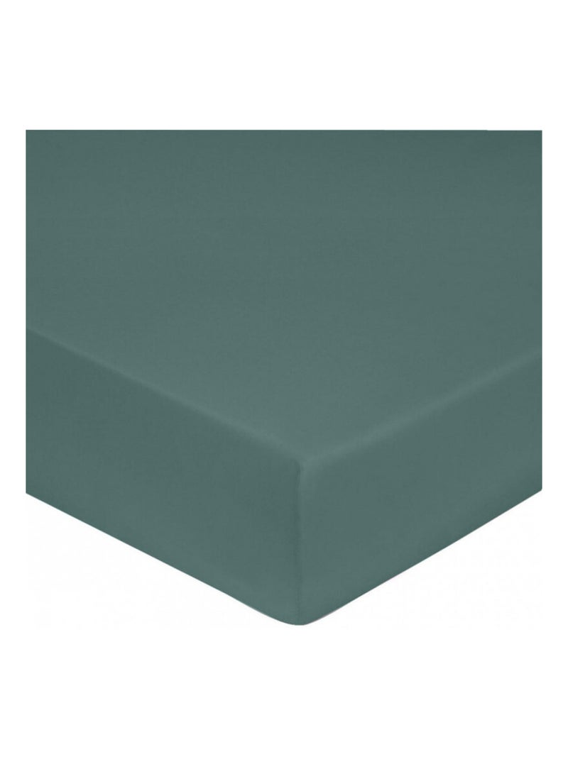 Drap housse - Blanc avenue Paris - 100% Satin de coton Peigné" / 80 fils/cm² Bleu céladon - Kiabi