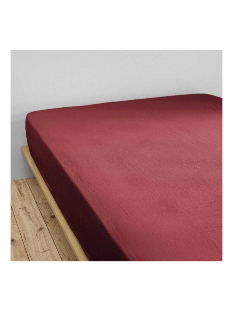Drap housse - L'effet papillon - 100% gaze de coton 125 gr/m² Noir Bordeaux - Kiabi