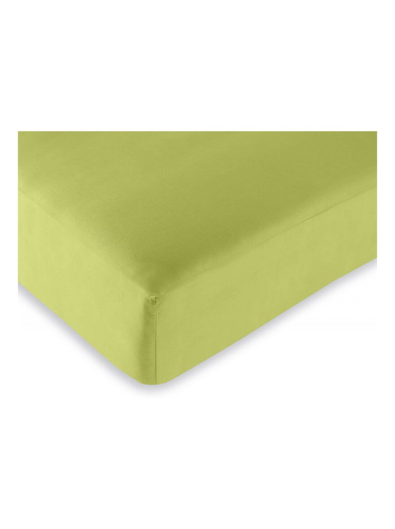Drap housse - Univers Décor - 100 % Coton 57 Fils/cm² Vert - Kiabi