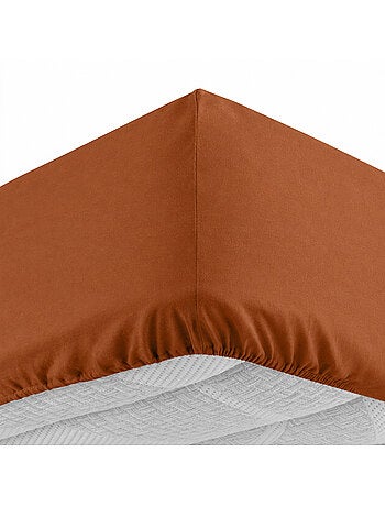 Drap housse 1 personne coton 57 fils lina