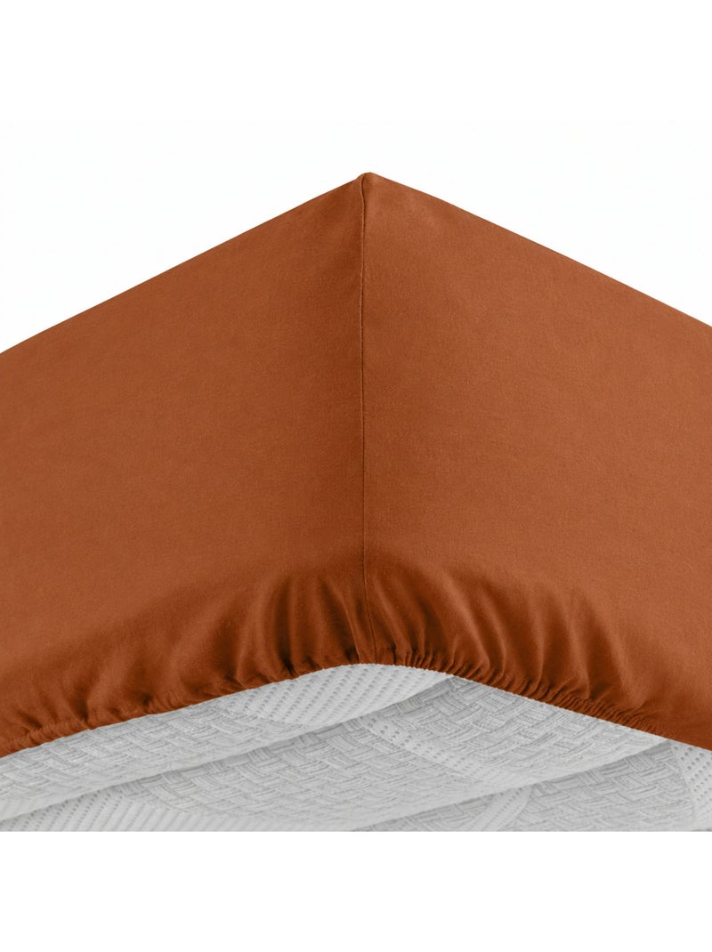 Drap housse 1 personne coton 57 fils lina Marron caramel - Kiabi
