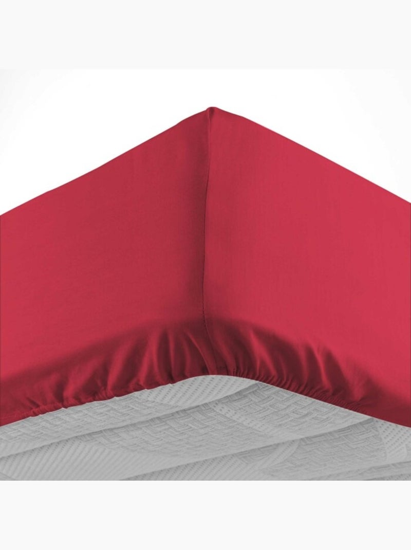 Drap housse 1 personne coton 57 fils lina Rouge Marsala - Kiabi