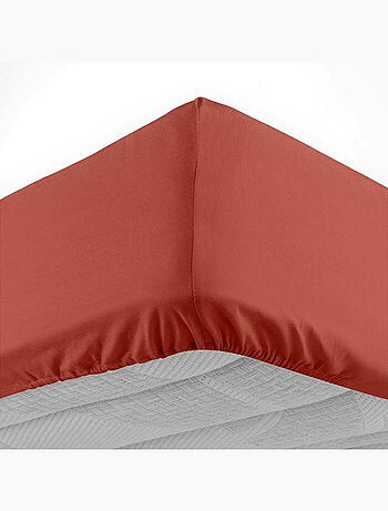 Drap housse 1 personne coton 57 fils lina