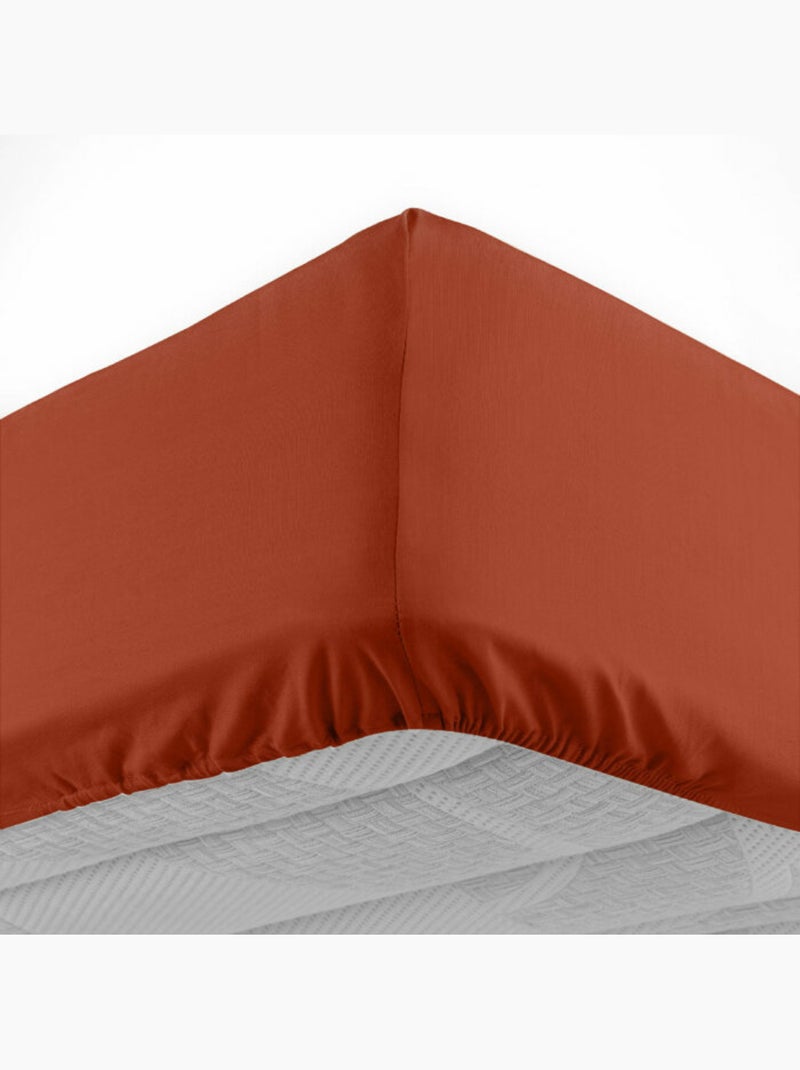 Drap housse 1 personne coton 57 fils lina Terracotta - Kiabi